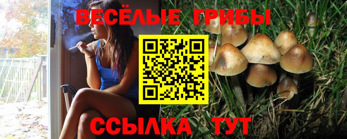 хочу наркоту  Галлюциногенные грибы прущие грибы  Сафоново  Вход с VPN  Псилоцибиновые грибы Cubensis 