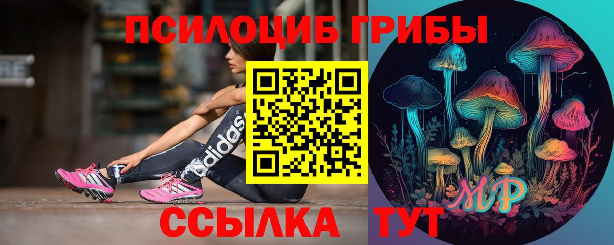 Галлюциногенные грибы GOLDEN TEACHER Сафоново